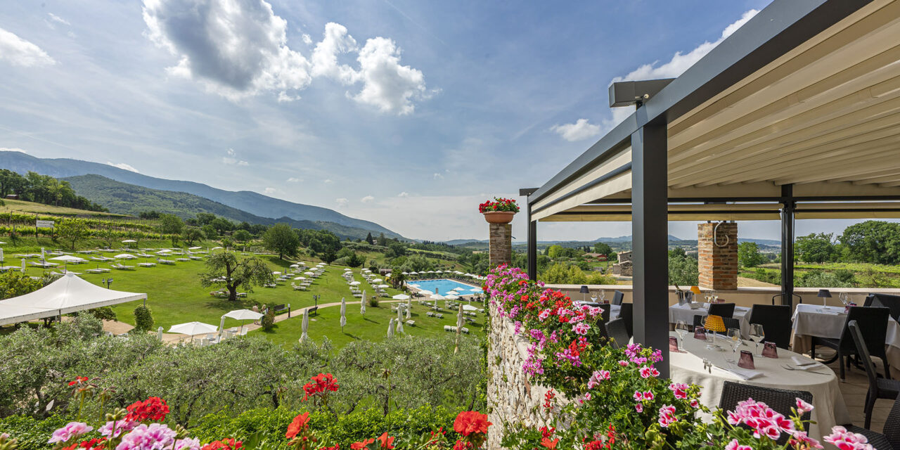 Piscina olimpionica tra vigneti e ulivi con vista sulle colline del Lago di Garda